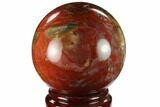 Colorful Petrified Wood Sphere - Madagascar #133832-1